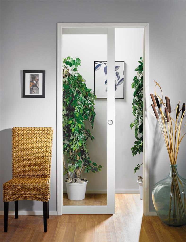 POCKETDOOR  PAIRDOORS 825, CLEAR GLASS FRAMEDOORS